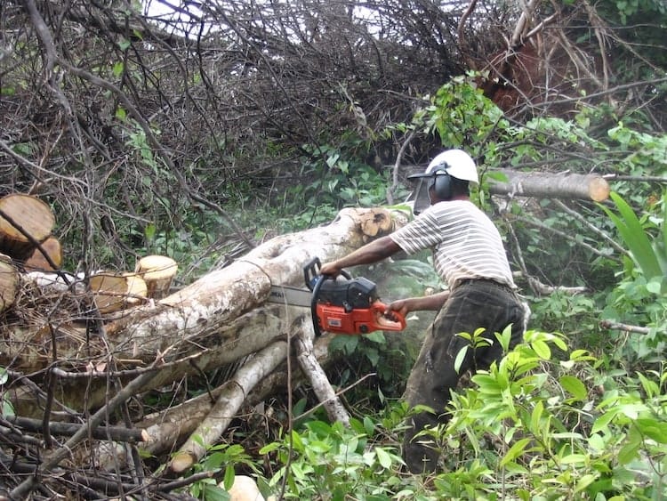 Large Scale Environmental Clean Up Campaigns 6 image 43
